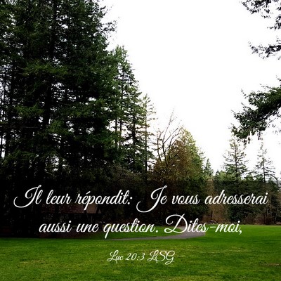 Picture 03 - Luc 20:3 LSG - Il leur répondit: Je vous adresserai aussi une - Bible Verse Picture