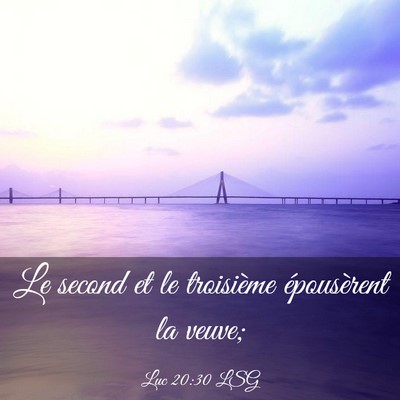 Picture 03 - Luc 20:30 LSG - Le second et le troisième épousèrent la - Bible Verse Picture