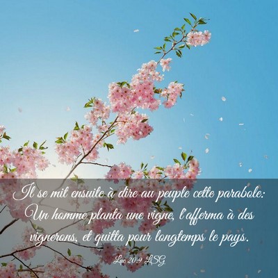 Picture 03 - Luc 20:9 LSG - Il se mit ensuite à dire au peuple cette - Bible Verse Picture