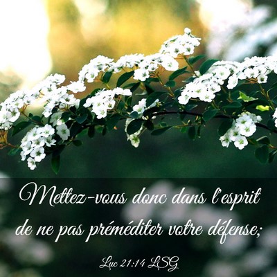 Picture 03 - Luc 21:14 LSG - Mettez-vous donc dans l'esprit de ne pas - Bible Verse Picture