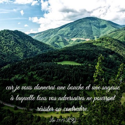 Picture 03 - Luc 21:15 LSG - car je vous donnerai une bouche et une sagesse à - Bible Verse Picture