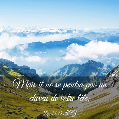 Picture 03 - Luc 21:18 LSG - Mais il ne se perdra pas un cheveu de votre - Bible Verse Picture