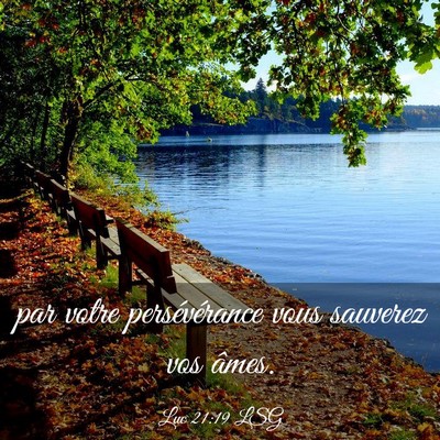 Picture 03 - Luc 21:19 LSG - par votre persévérance vous sauverez vos - Bible Verse Picture
