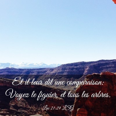 Picture 03 - Luc 21:29 LSG - Et il leur dit une comparaison: Voyez le figuier, - Bible Verse Picture