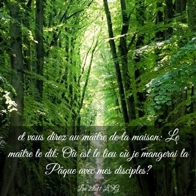 Picture 03 - Luc 22:11 LSG - et vous direz au maître de la maison: Le maître - Bible Verse Picture
