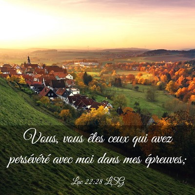 Picture 03 - Luc 22:28 LSG - Vous, vous êtes ceux qui avez persévéré avec - Bible Verse Picture