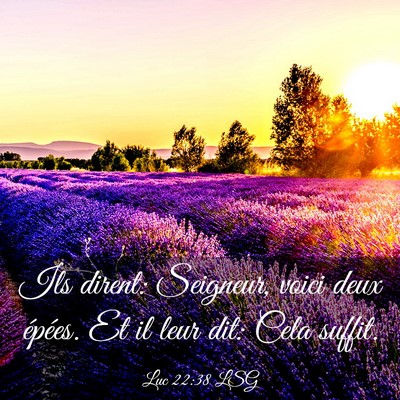 Picture 03 - Luc 22:38 LSG - Ils dirent: Seigneur, voici deux épées. Et il - Bible Verse Picture
