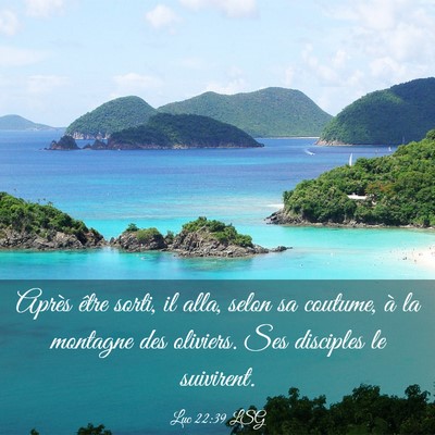 Picture 03 - Luc 22:39 LSG - Après être sorti, il alla, selon sa coutume, à - Bible Verse Picture
