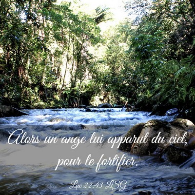 Picture 03 - Luc 22:43 LSG - Alors un ange lui apparut du ciel, pour le - Bible Verse Picture
