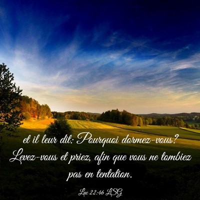 Picture 03 - Luc 22:46 LSG - et il leur dit: Pourquoi dormez-vous? Levez-vous - Bible Verse Picture