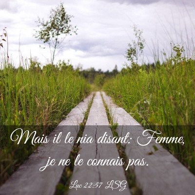 Picture 03 - Luc 22:57 LSG - Mais il le nia disant: Femme, je ne le connais - Bible Verse Picture