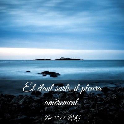 Picture 03 - Luc 22:62 LSG - Et étant sorti, il pleura - Bible Verse Picture