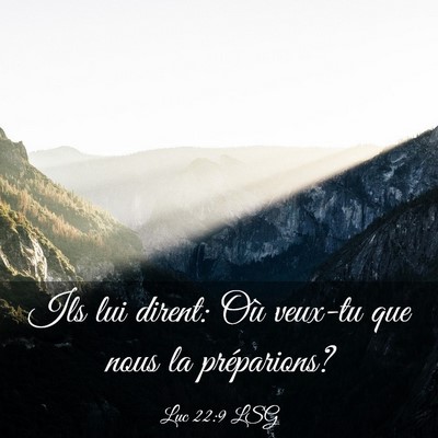 Picture 03 - Luc 22:9 LSG - Ils lui dirent: Où veux-tu que nous la - Bible Verse Picture