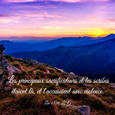 Picture 03 - Luc 23:10 LSG - Les principaux sacrificateurs et les scribes - Bible Verse Picture