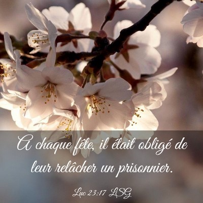 Picture 03 - Luc 23:17 LSG - A chaque fête, il était obligé de leur - Bible Verse Picture