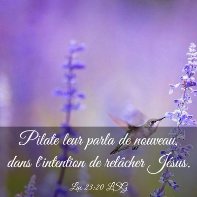 Picture 03 - Luc 23:20 LSG - Pilate leur parla de nouveau, dans l'intention de - Bible Verse Picture