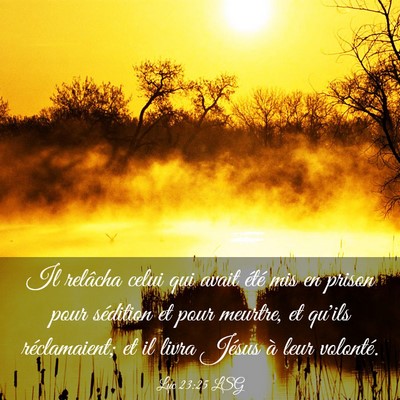 Picture 03 - Luc 23:25 LSG - Il relâcha celui qui avait été mis en prison - Bible Verse Picture