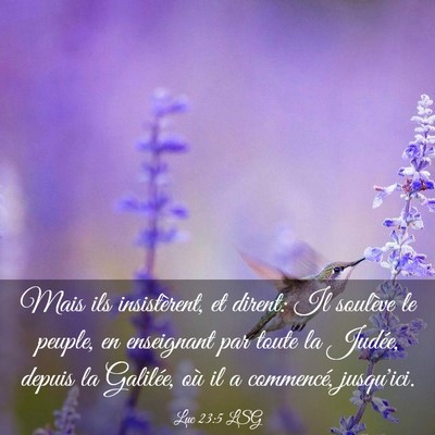 Picture 03 - Luc 23:5 LSG - Mais ils insistèrent, et dirent: Il soulève le - Bible Verse Picture