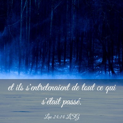 Picture 03 - Luc 24:14 LSG - et ils s'entretenaient de tout ce qui s'était - Bible Verse Picture