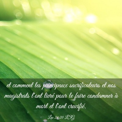 Picture 03 - Luc 24:20 LSG - et comment les principaux sacrificateurs et nos - Bible Verse Picture