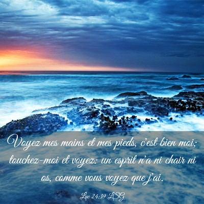 Picture 03 - Luc 24:39 LSG - Voyez mes mains et mes pieds, c'est bien moi; - Bible Verse Picture