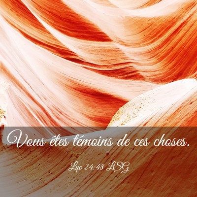 Picture 03 - Luc 24:48 LSG - Vous êtes témoins de ces - Bible Verse Picture