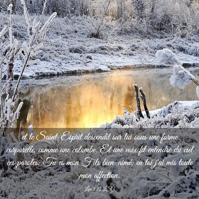 Picture 03 - Luc 3:22 LSG - et le Saint-Esprit descendit sur lui sous une - Bible Verse Picture