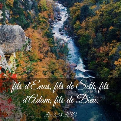 Picture 03 - Luc 3:38 LSG - fils d'Enos, fils de Seth, fils d'Adam, fils de - Bible Verse Picture