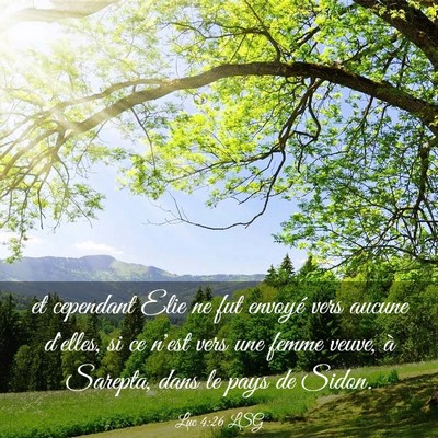 Picture 03 - Luc 4:26 LSG - et cependant Elie ne fut envoyé vers aucune - Bible Verse Picture
