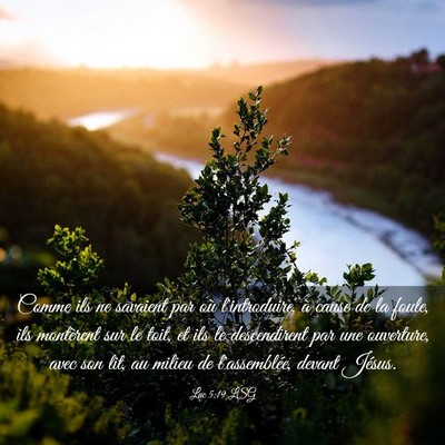 Picture 03 - Luc 5:19 LSG - Comme ils ne savaient par où l'introduire, à - Bible Verse Picture