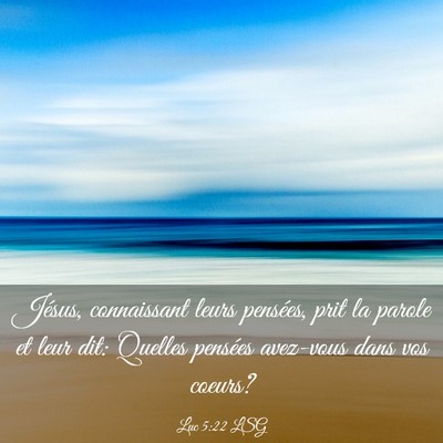 Picture 03 - Luc 5:22 LSG - Jésus, connaissant leurs pensées, prit la - Bible Verse Picture