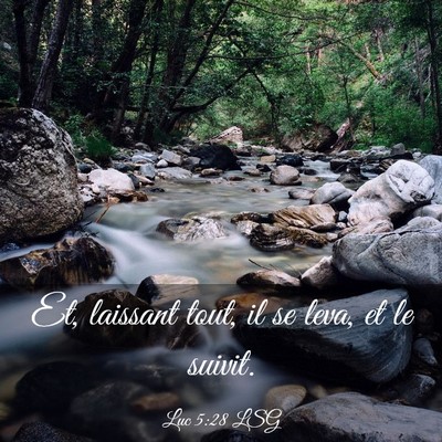 Picture 03 - Luc 5:28 LSG - Et, laissant tout, il se leva, et le - Bible Verse Picture