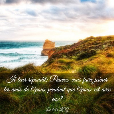 Picture 03 - Luc 5:34 LSG - Il leur répondit: Pouvez-vous faire jeûner les - Bible Verse Picture