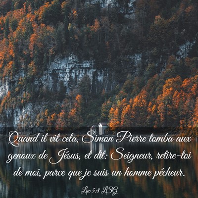 Picture 03 - Luc 5:8 LSG - Quand il vit cela, Simon Pierre tomba aux genoux - Bible Verse Picture