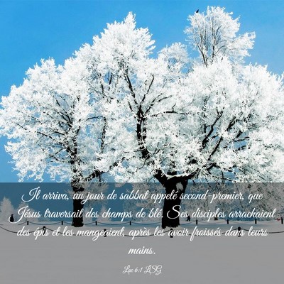Picture 03 - Luc 6:1 LSG - Il arriva, un jour de sabbat appelé - Bible Verse Picture