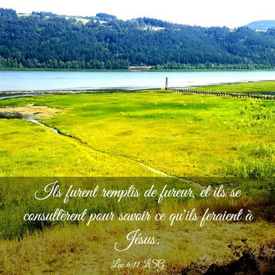 Picture 03 - Luc 6:11 LSG - Ils furent remplis de fureur, et ils se - Bible Verse Picture