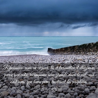 Picture 03 - Luc 6:23 LSG - Réjouissez-vous en ce jour-là et tressaillez - Bible Verse Picture