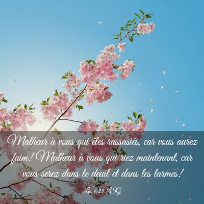 Picture 03 - Luc 6:25 LSG - Malheur à vous qui êtes rassasiés, car vous - Bible Verse Picture
