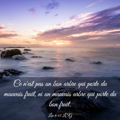 Picture 03 - Luc 6:43 LSG - Ce n'est pas un bon arbre qui porte du mauvais - Bible Verse Picture