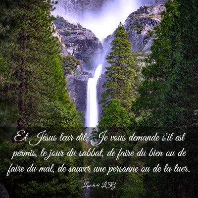 Picture 03 - Luc 6:9 LSG - Et Jésus leur dit: Je vous demande s'il est - Bible Verse Picture