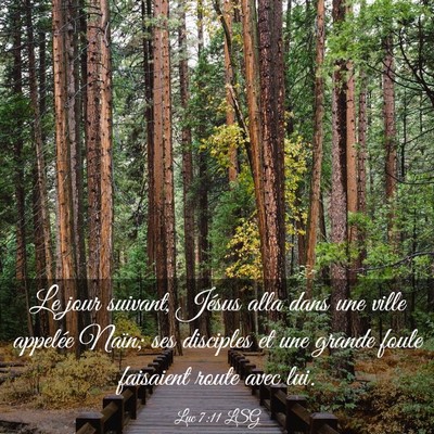 Picture 03 - Luc 7:11 LSG - Le jour suivant, Jésus alla dans une ville - Bible Verse Picture