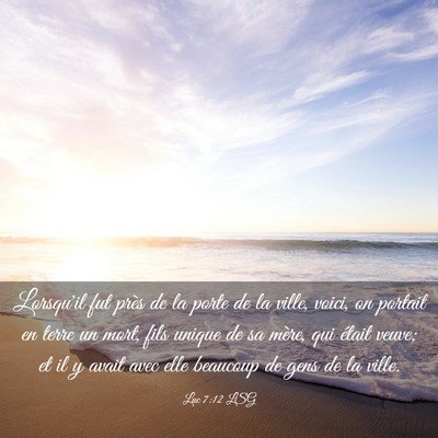Picture 03 - Luc 7:12 LSG - Lorsqu'il fut près de la porte de la ville, - Bible Verse Picture