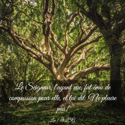 Picture 03 - Luc 7:13 LSG - Le Seigneur, l'ayant vue, fut ému de compassion - Bible Verse Picture
