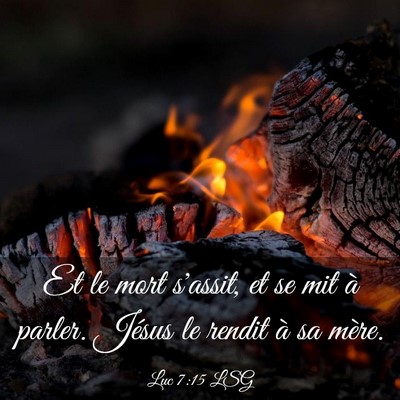 Picture 03 - Luc 7:15 LSG - Et le mort s'assit, et se mit à parler. Jésus - Bible Verse Picture