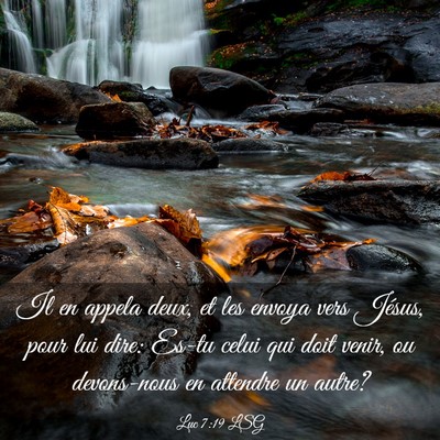 Picture 03 - Luc 7:19 LSG - Il en appela deux, et les envoya vers Jésus, - Bible Verse Picture