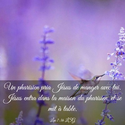 Picture 03 - Luc 7:36 LSG - Un pharisien pria Jésus de manger avec lui. - Bible Verse Picture