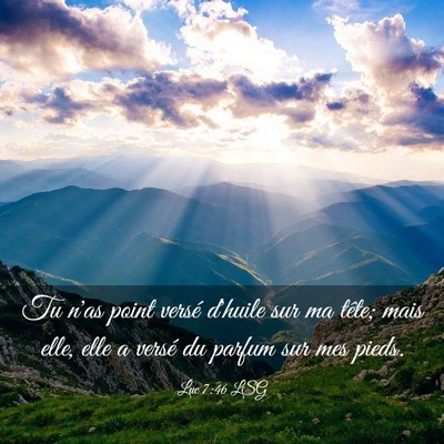 Picture 03 - Luc 7:46 LSG - Tu n'as point versé d'huile sur ma tête; mais - Bible Verse Picture