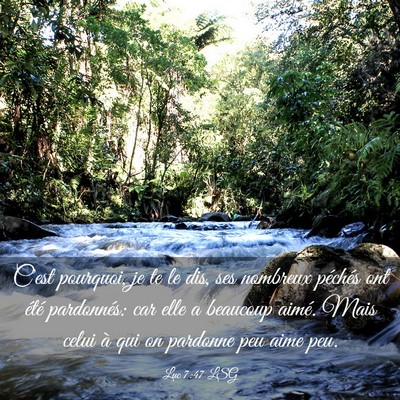 Picture 03 - Luc 7:47 LSG - C'est pourquoi, je te le dis, ses nombreux - Bible Verse Picture