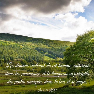 Picture 03 - Luc 8:33 LSG - Les démons sortirent de cet homme, entrèrent - Bible Verse Picture