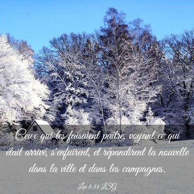 Picture 03 - Luc 8:34 LSG - Ceux qui les faisaient paître, voyant ce qui - Bible Verse Picture